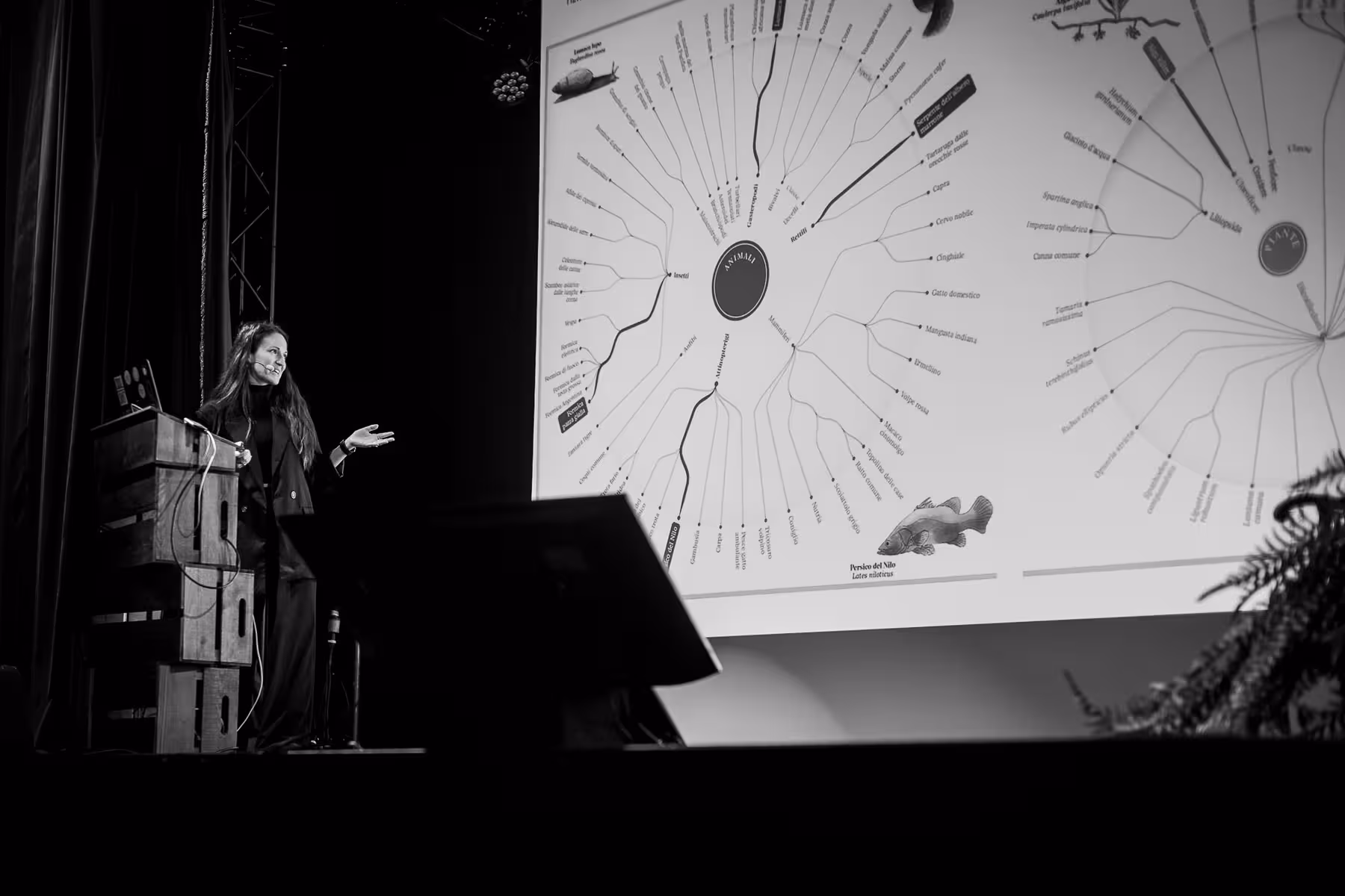 Photo of Tiziana Alocci taken at beyond tellerrand in Berlin 2022 by Florian Ziegler