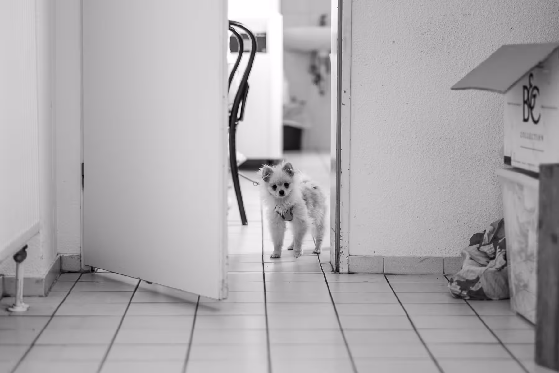 Photo taken at beyond tellerrand in Düsseldorf 2025 by Florian Ziegler